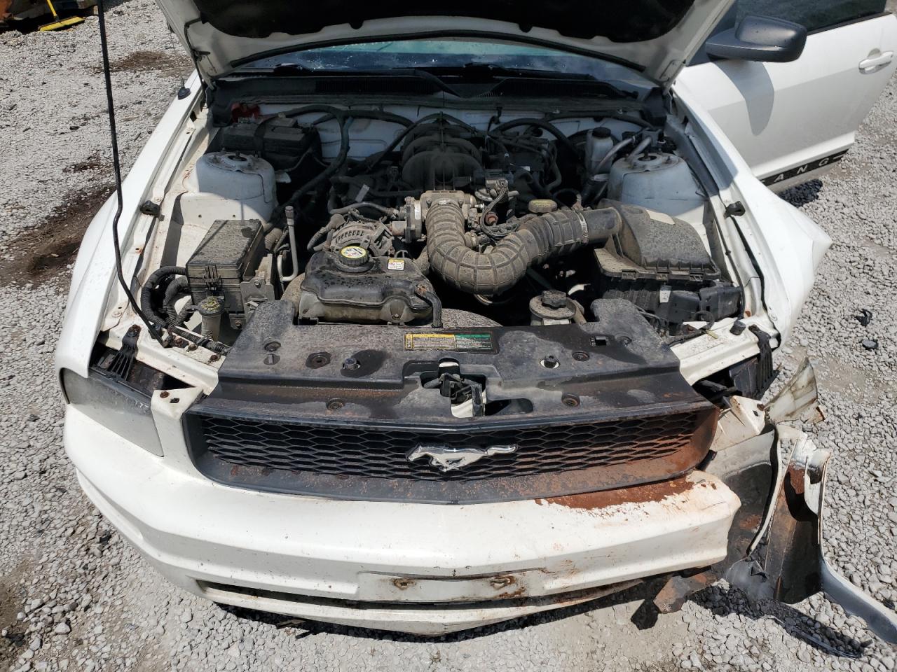 2009 Ford Mustang VIN: 1ZVHT84N495114613 Lot: 64277155