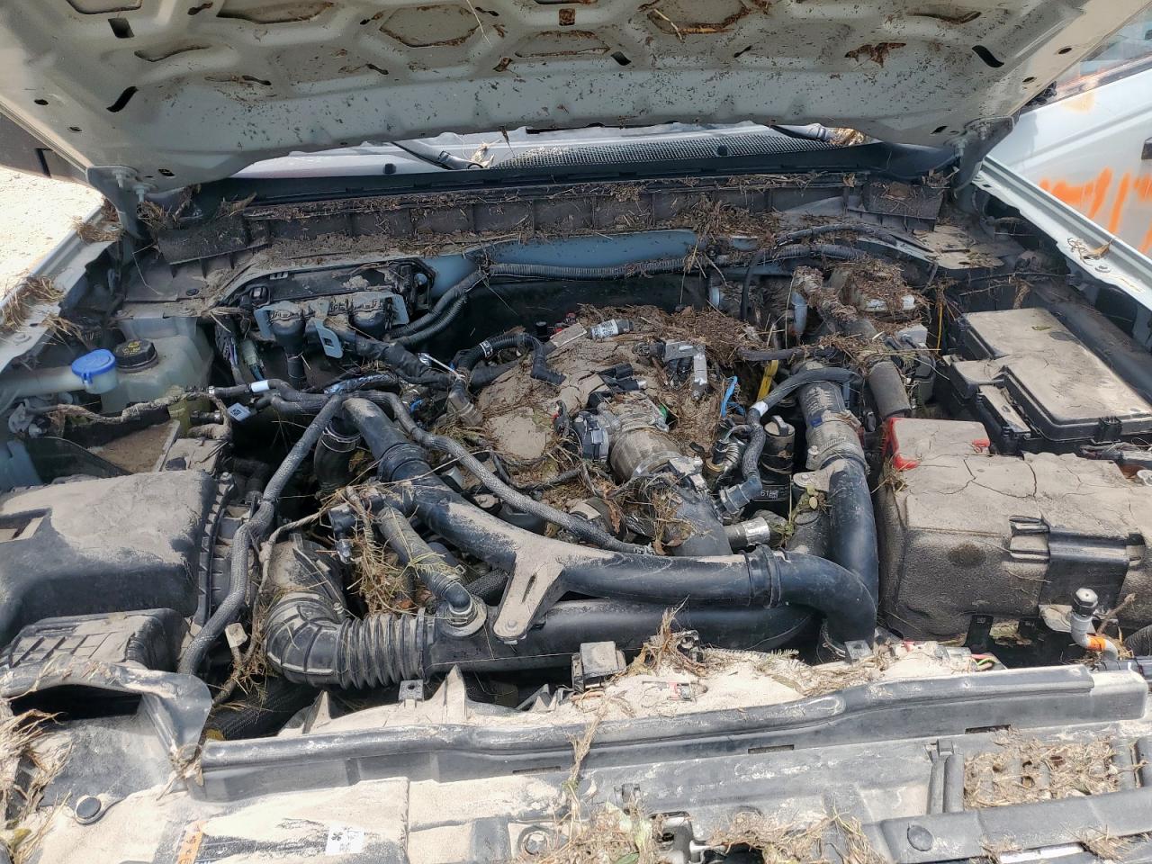 2022 Ford Bronco Base VIN: 1FMEE5BP7NLB64362 Lot: 64240595