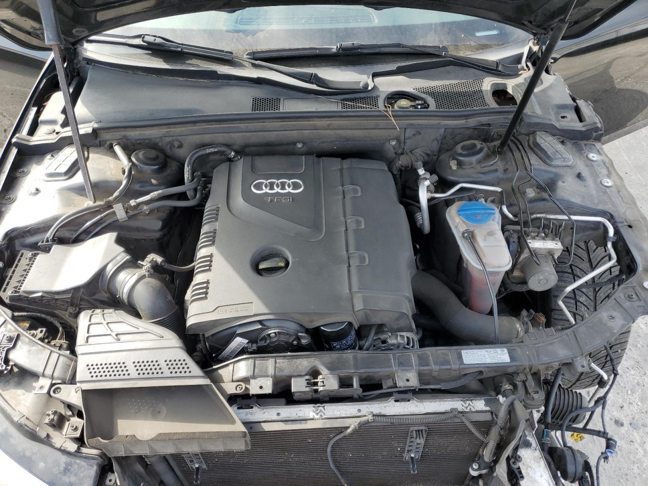 2014 Audi A4 Premium Plus VIN: WAUEFAFLXEN033770 Lot: 63069225