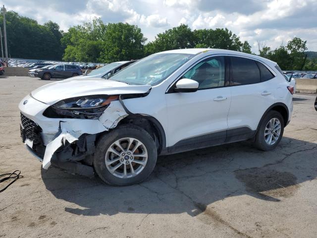  FORD ESCAPE 2020 Белы