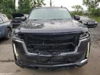 2024 CADILLAC ESCALADE PREMIUM LUXURY   for sale at Copart NY - NEWBURGH