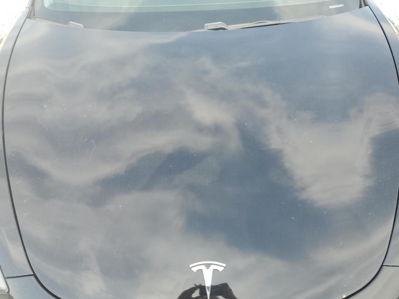 2020 Tesla Model 3 VIN: 5YJ3E1EB0LF589989 Lot: 65123205