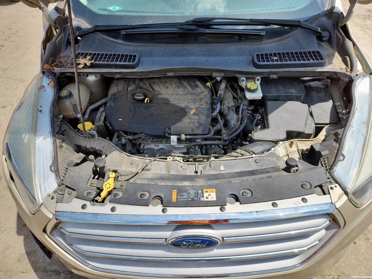 2018 Ford Escape Se VIN: 1FMCU0GD0JUB51419 Lot: 64962945