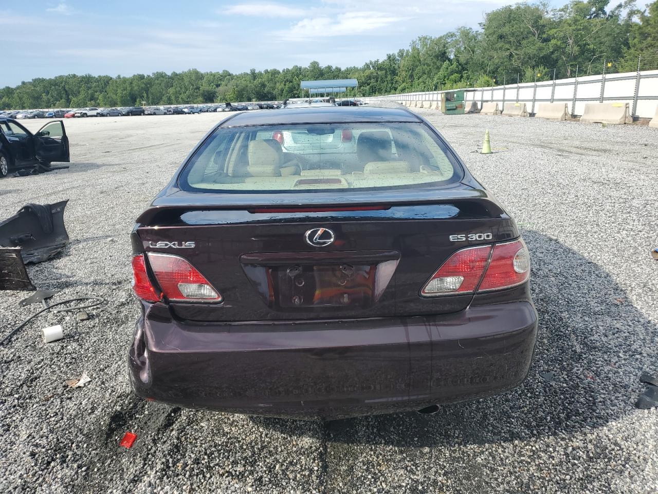 2002 Lexus Es 300 VIN: JTHBF30G820065721 Lot: 63475155
