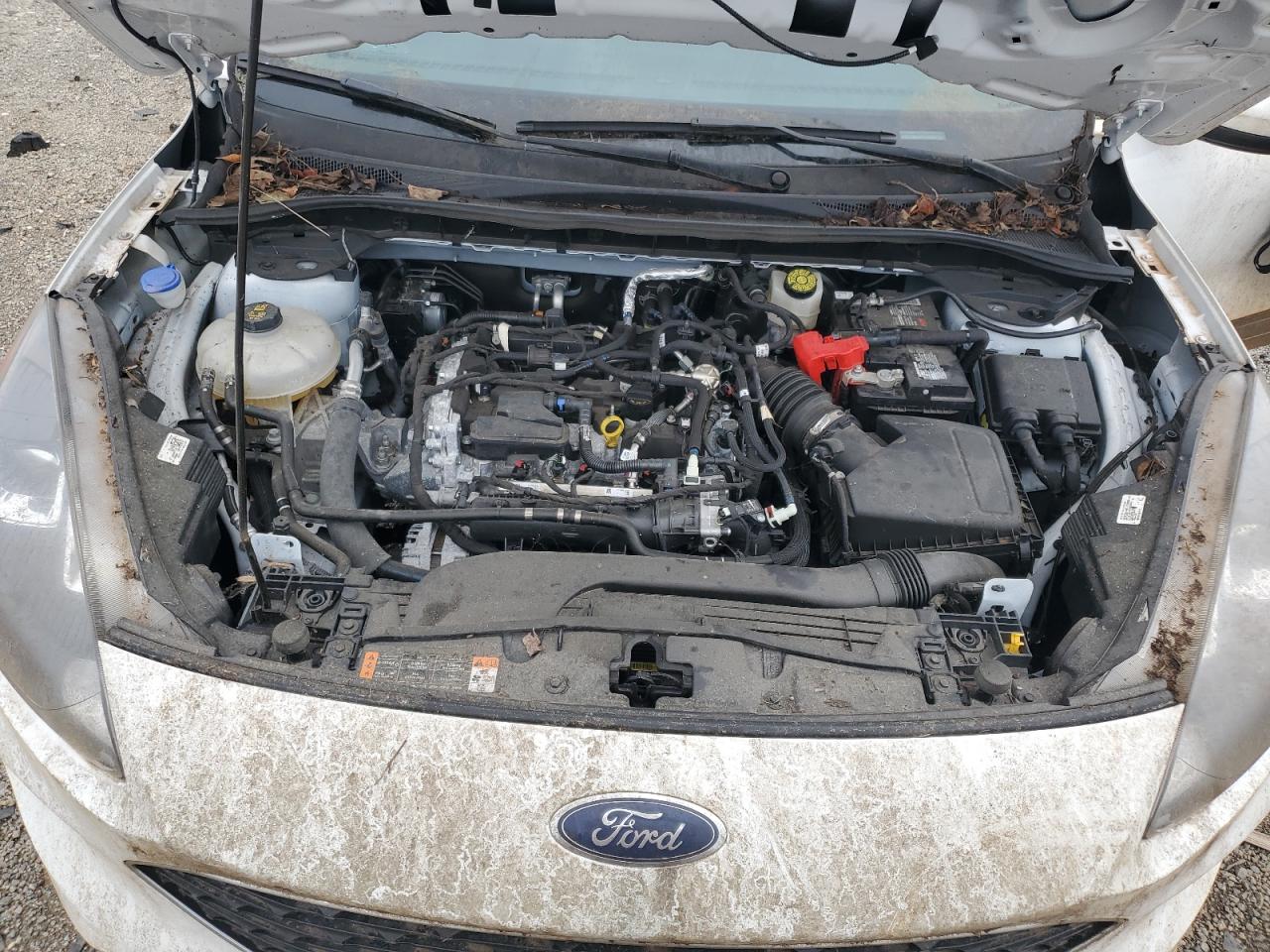 2021 Ford Escape Se VIN: 1FMCU9G63MUB16206 Lot: 64048685
