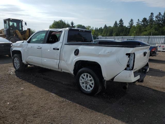  TOYOTA TACOMA 2024 Biały