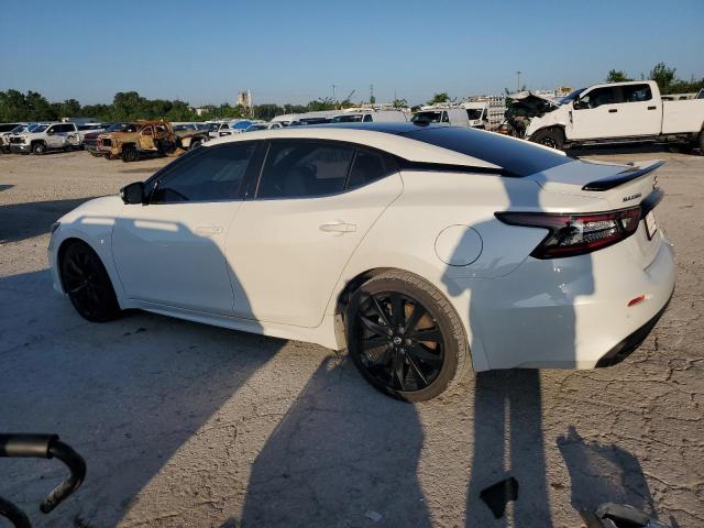  NISSAN MAXIMA 2023 White