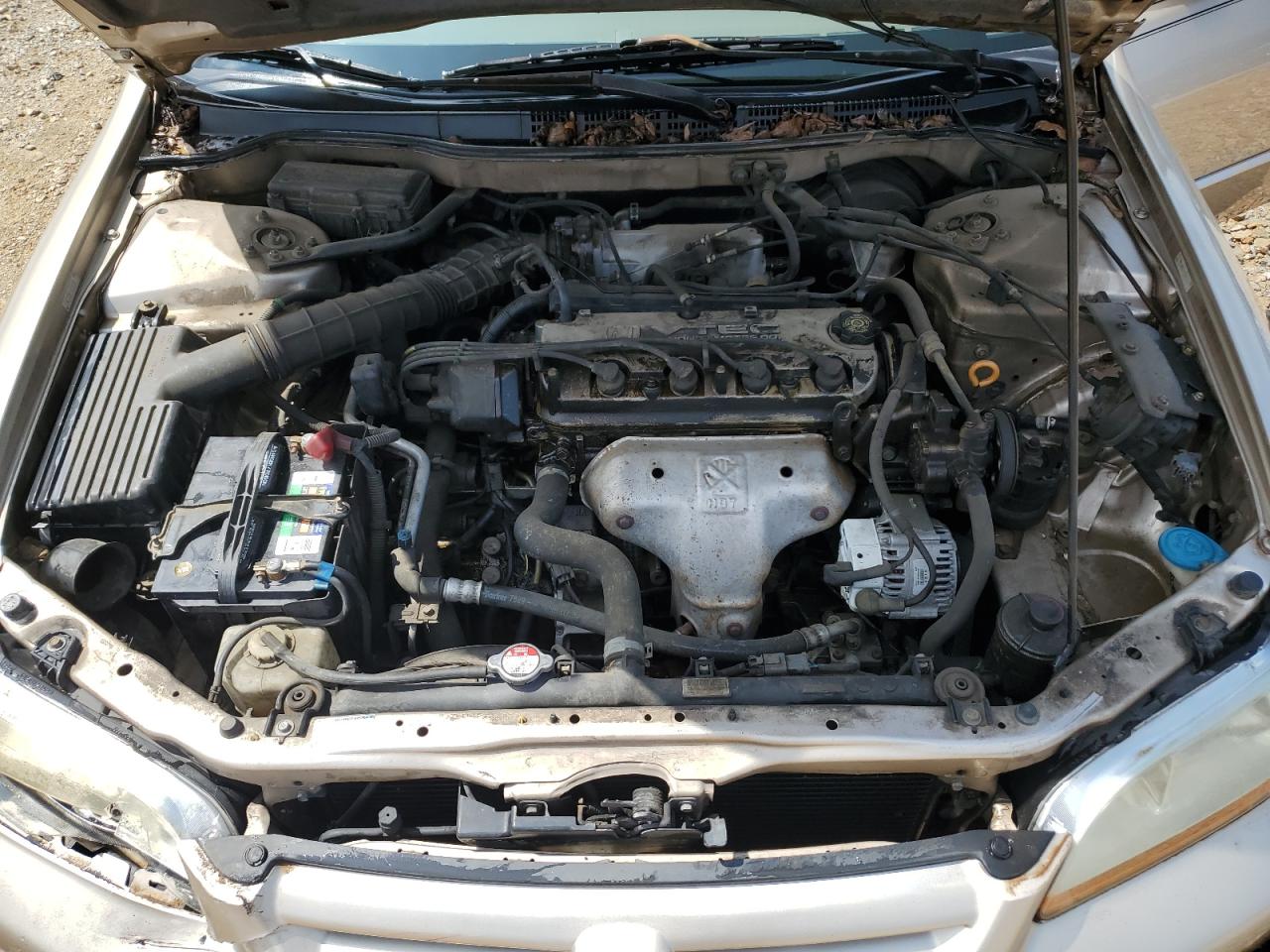 2001 Honda Accord Lx VIN: 1HGCG56401A038339 Lot: 64619615