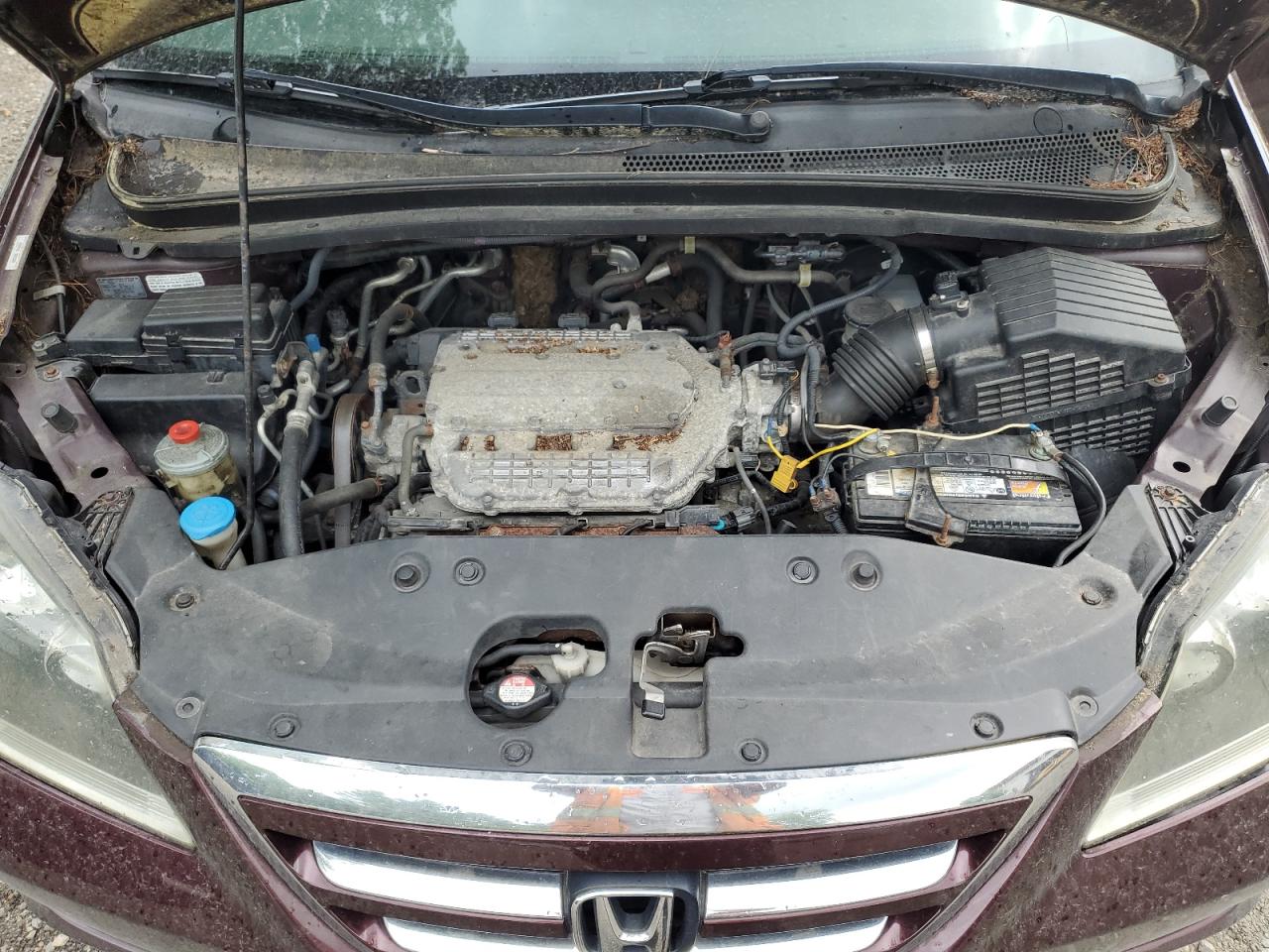 2007 Honda Odyssey Lx VIN: 5FNRL38247B009303 Lot: 63832185