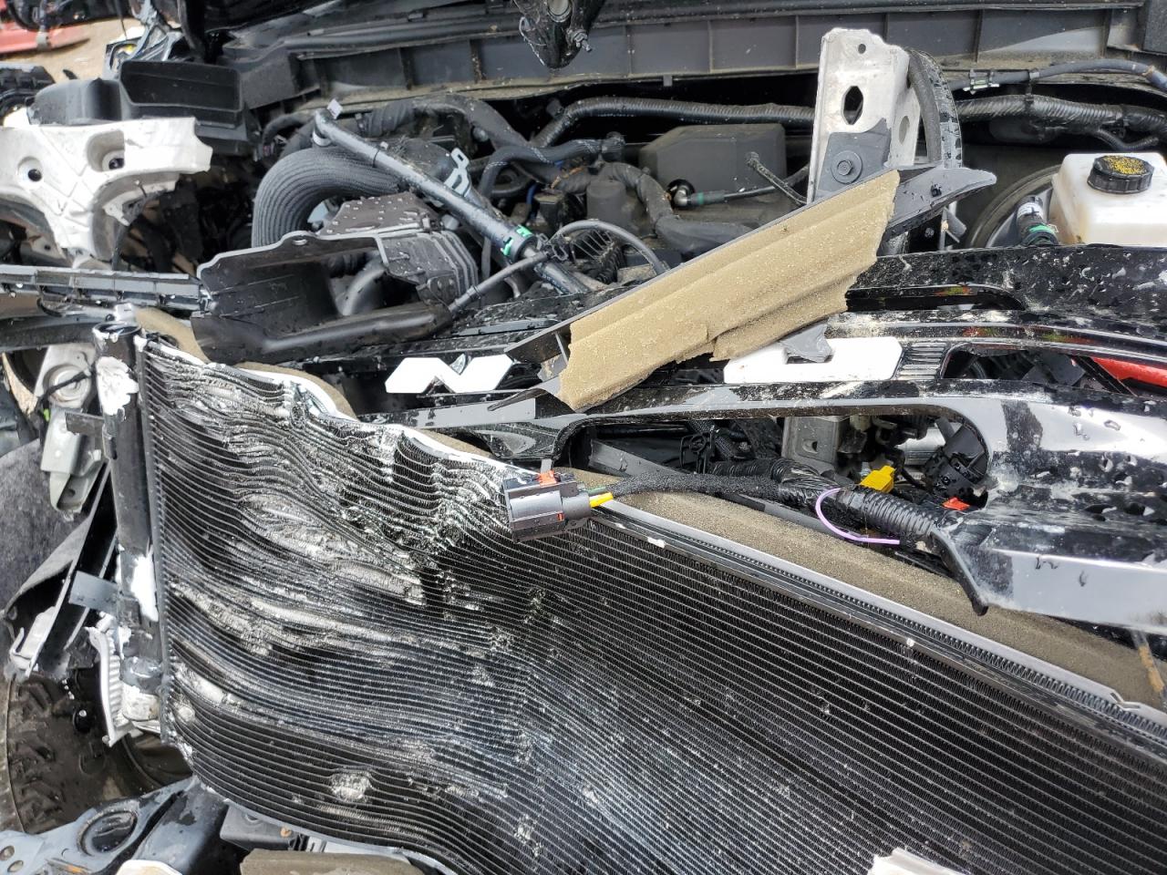 2024 Ford Bronco Outer Banks VIN: 1FMDE8BH3RLB16157 Lot: 63867705