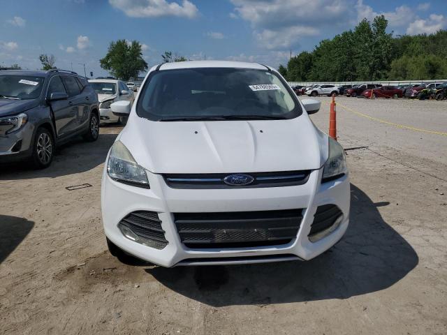 Паркетники FORD ESCAPE 2015 Белы