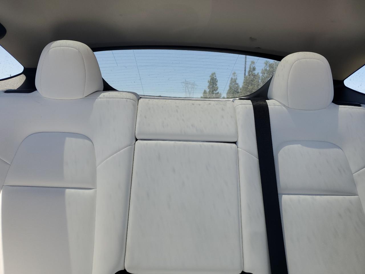 2023 Tesla Model Y VIN: 7SAYGDEF6PF635354 Lot: 66145885