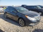 2013 HYUNDAI SONATA SE   à vendre chez Copart UT - SALT LAKE CITY