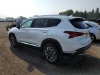 2023 HYUNDAI SANTA FE LIMITED   à vendre chez Copart ON - TORONTO