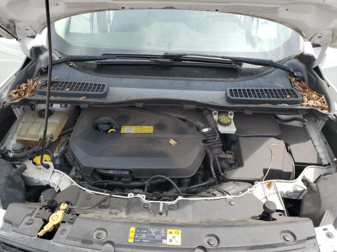 2013 Ford Escape Sel VIN: 1FMCU0HXXDUA70618 Lot: 65431165