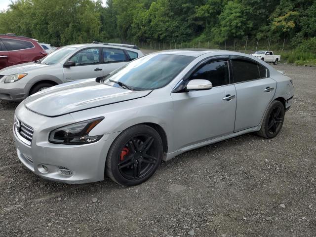  NISSAN MAXIMA 2013 Szary