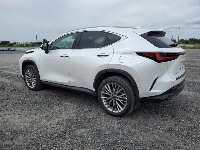 2024 LEXUS NX 350H BASE  