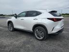 2024 LEXUS NX 350H BASE   for sale at Copart ON - OTTAWA
