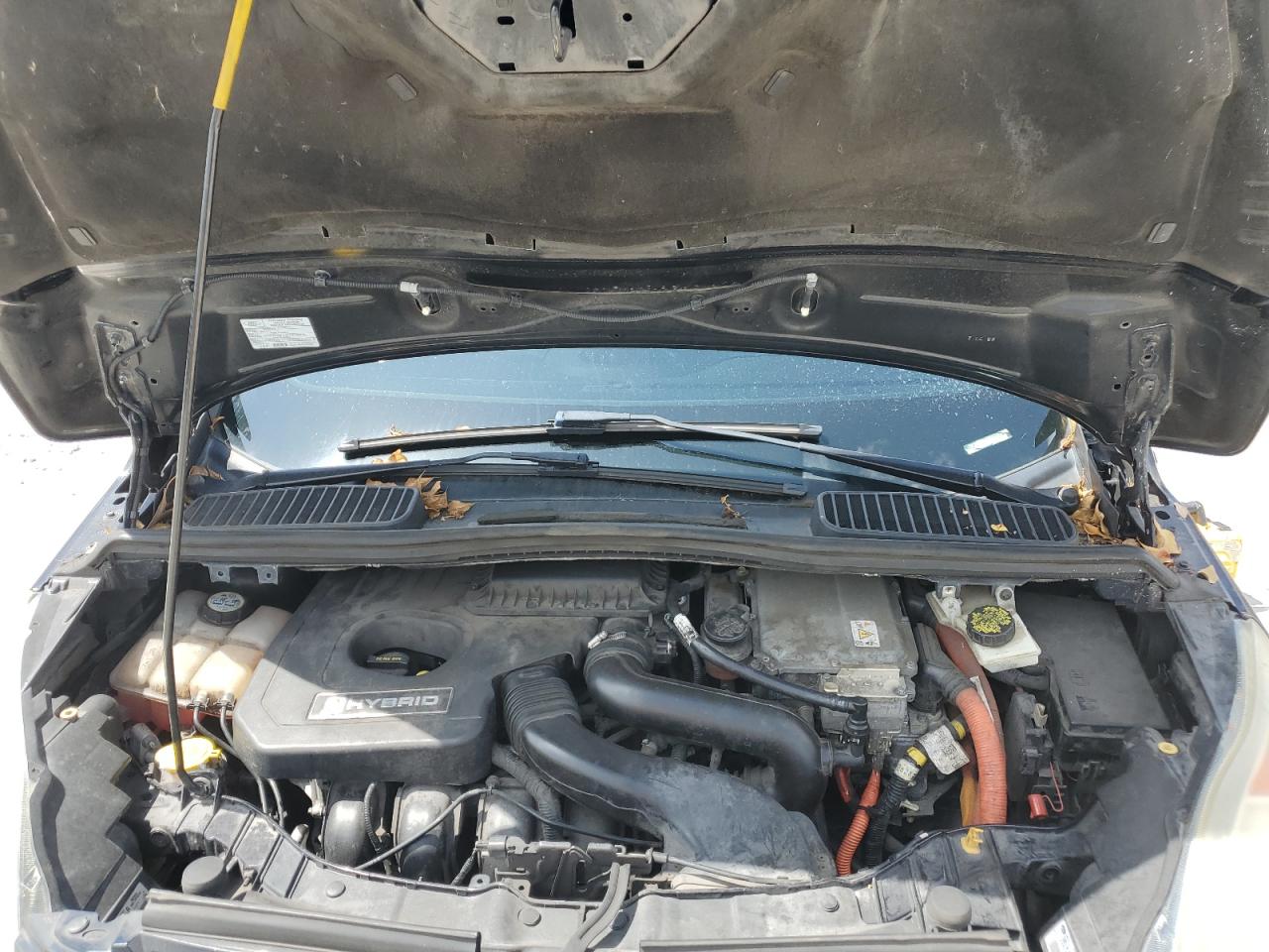 2013 Ford C-Max Sel VIN: 1FADP5BU8DL548879 Lot: 63203975