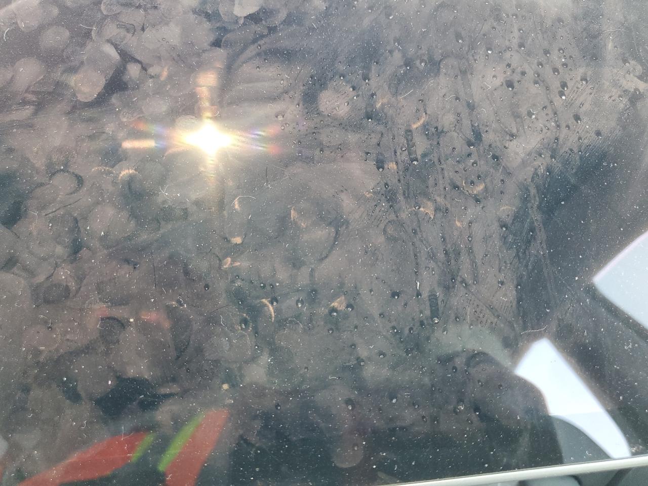 2023 Tesla Model Y VIN: 7SAYGDEE8PF754451 Lot: 64688445