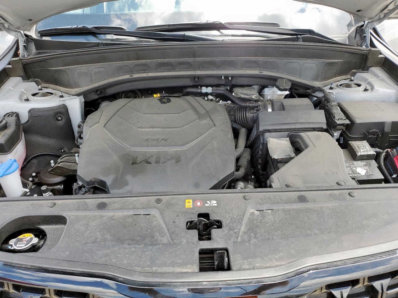 2024 Kia Telluride Sx VIN: 5XYP5DGC0RG559059 Lot: 64821515