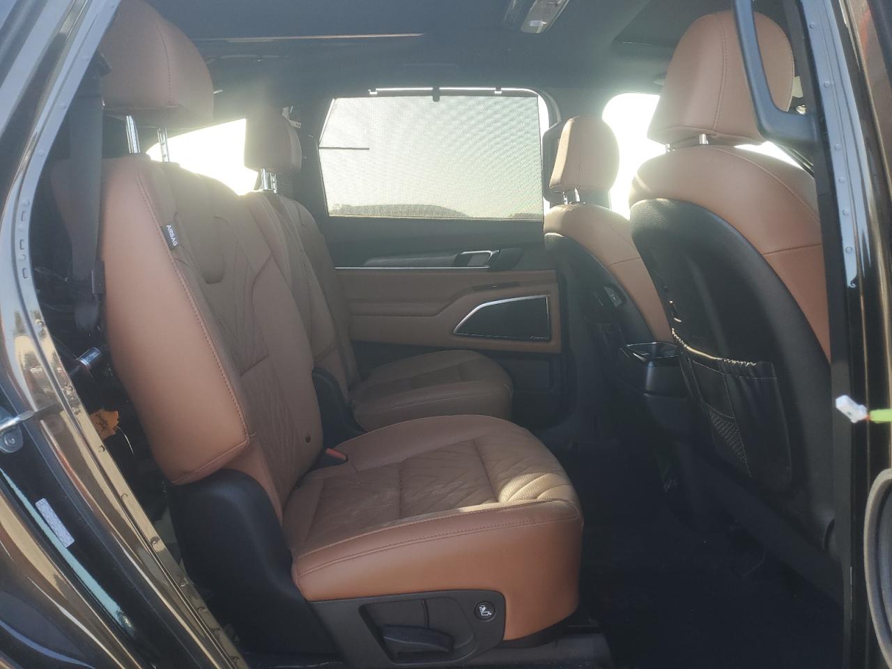 2024 Kia Telluride Sx VIN: 5XYP5DGC8RG476558 Lot: 61599985