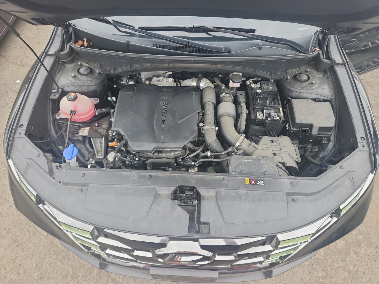 2023 Hyundai Santa Cruz Night VIN: 5NTJCDAF7PH049040 Lot: 64317285