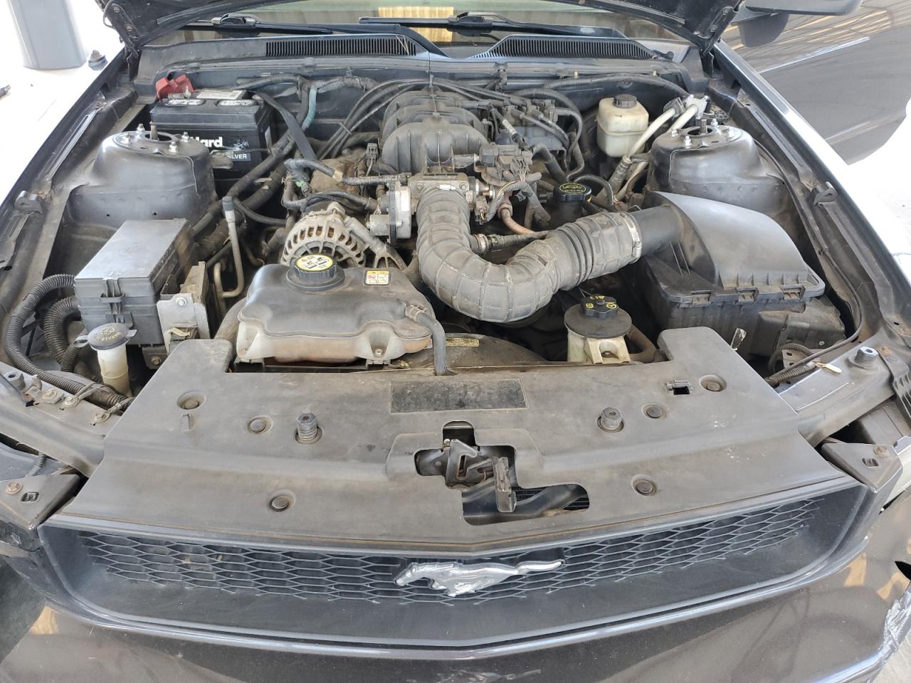 2008 Ford Mustang VIN: 1ZVHT80N885171062 Lot: 63277665