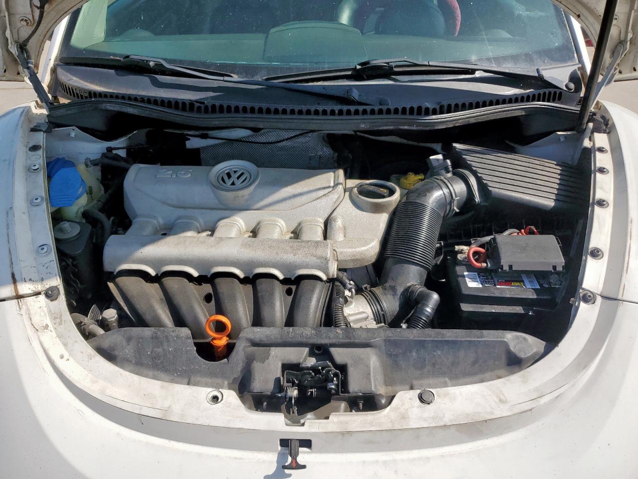 2010 Volkswagen New Beetle VIN: 3VWPG3AGXAM010554 Lot: 65649965