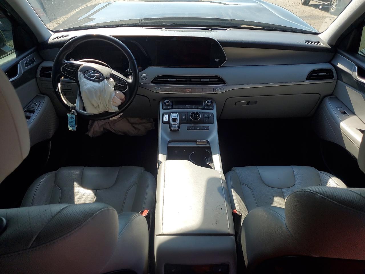 2020 Hyundai Palisade Sel VIN: KM8R4DHE1LU080436 Lot: 66397785