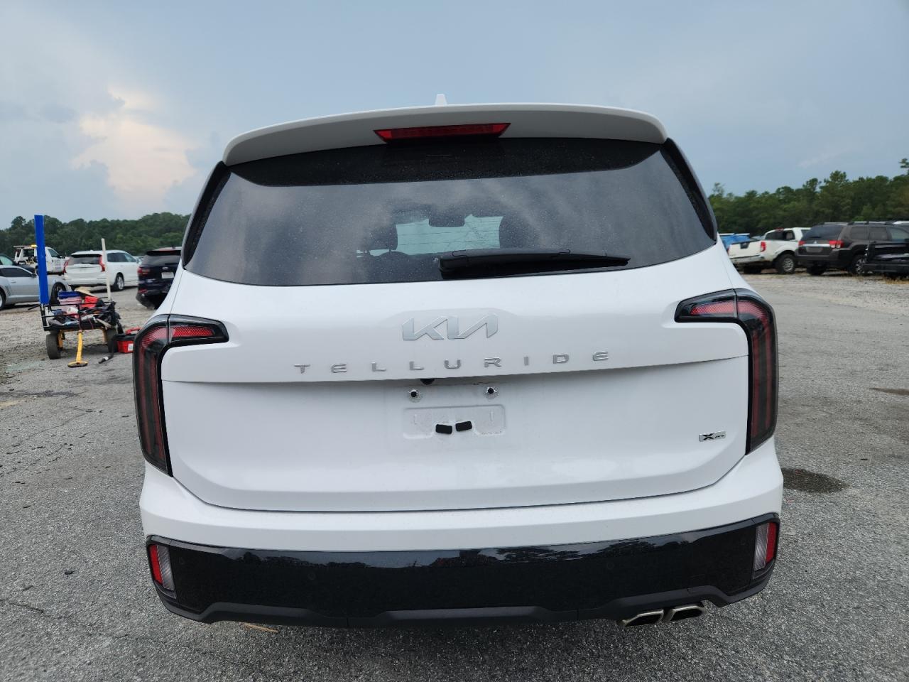 2024 Kia Telluride Sx VIN: 5XYP5DGC6RG553511 Lot: 64155775