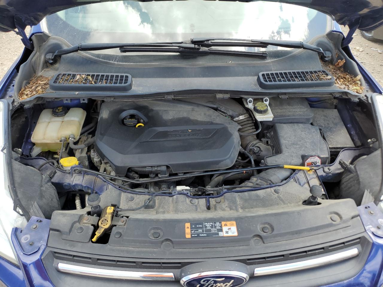 2014 Ford Escape Se VIN: 1FMCU9GX9EUE50220 Lot: 63657035