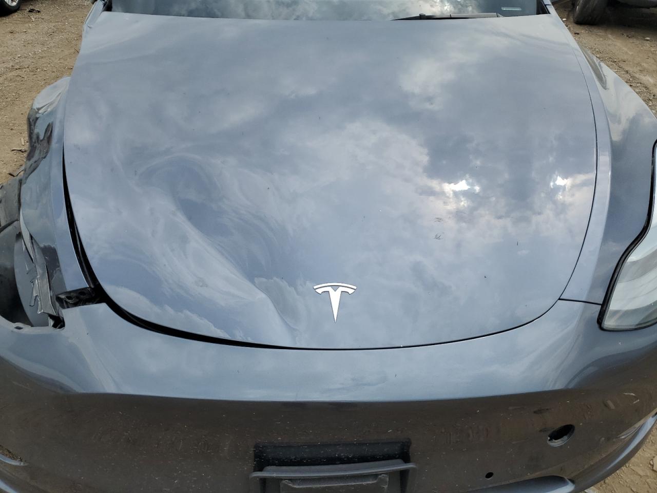 2022 Tesla Model Y VIN: 7SAYGDEF2NF460100 Lot: 64062125