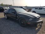 2014 FORD MUSTANG    for sale at Copart ON - OTTAWA