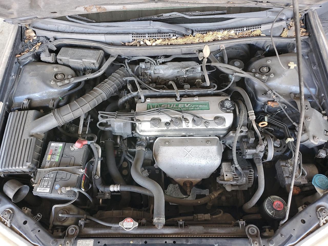 2000 Honda Accord Ex VIN: JHMCG6605YC021891 Lot: 63524915