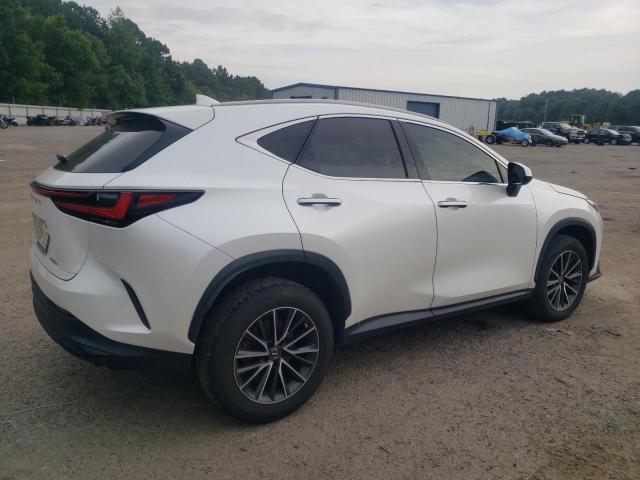  LEXUS NX 250 2023 Белы