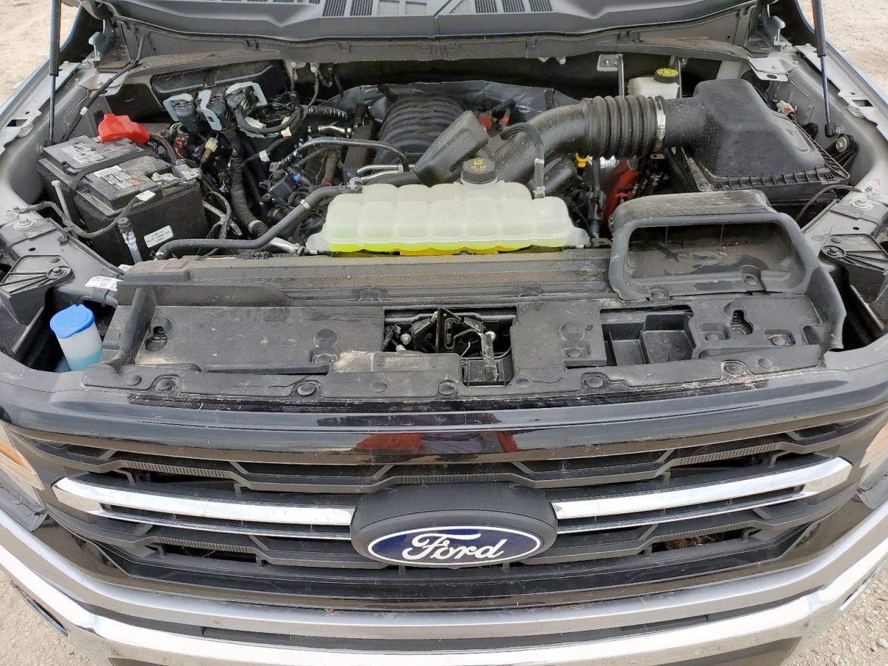 2024 Ford F150 Xlt VIN: 1FTFW3L57RKF21199 Lot: 64304175