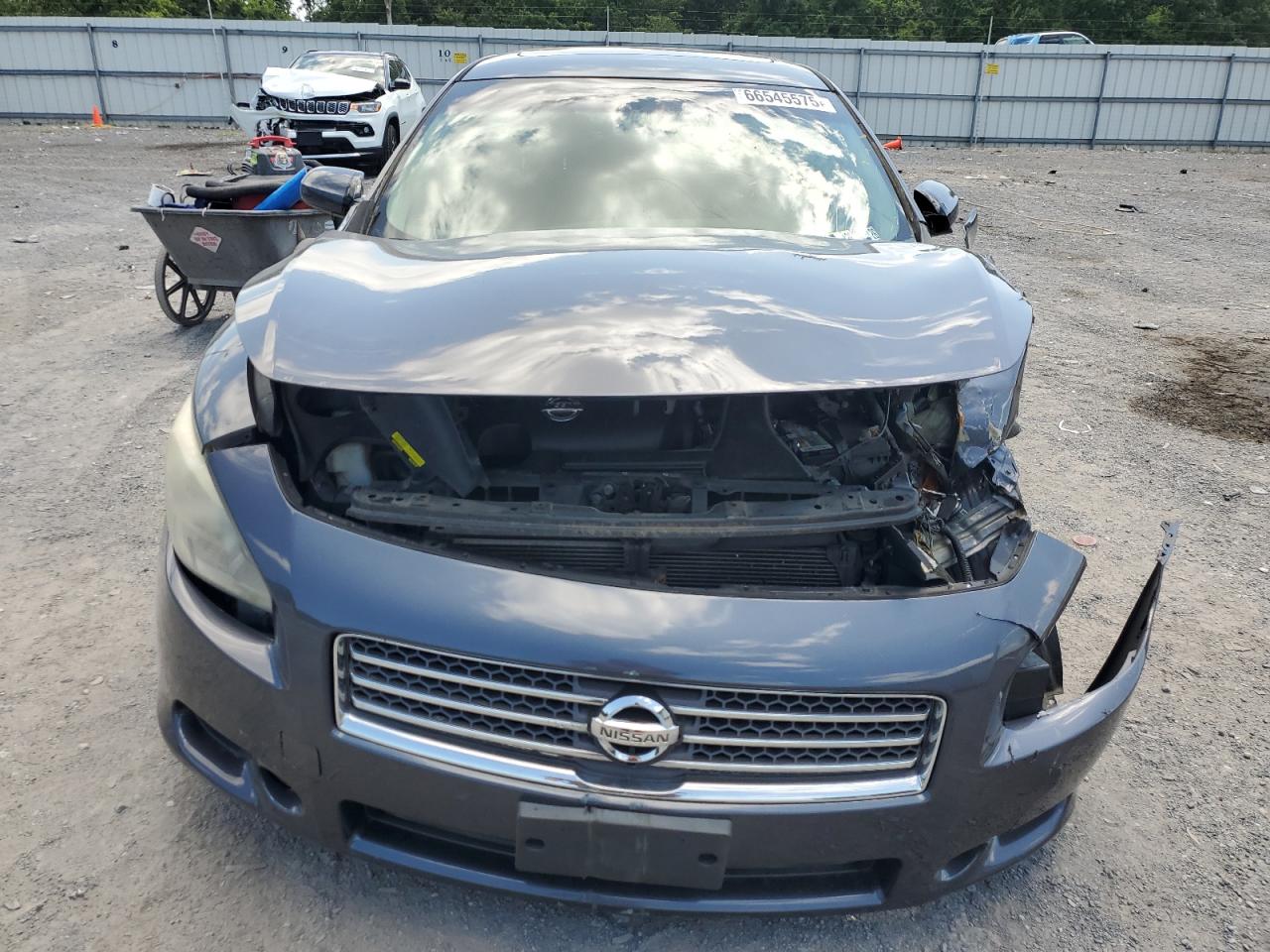 2009 Nissan Maxima S VIN: 1N4AA51E09C844646 Lot: 66545575