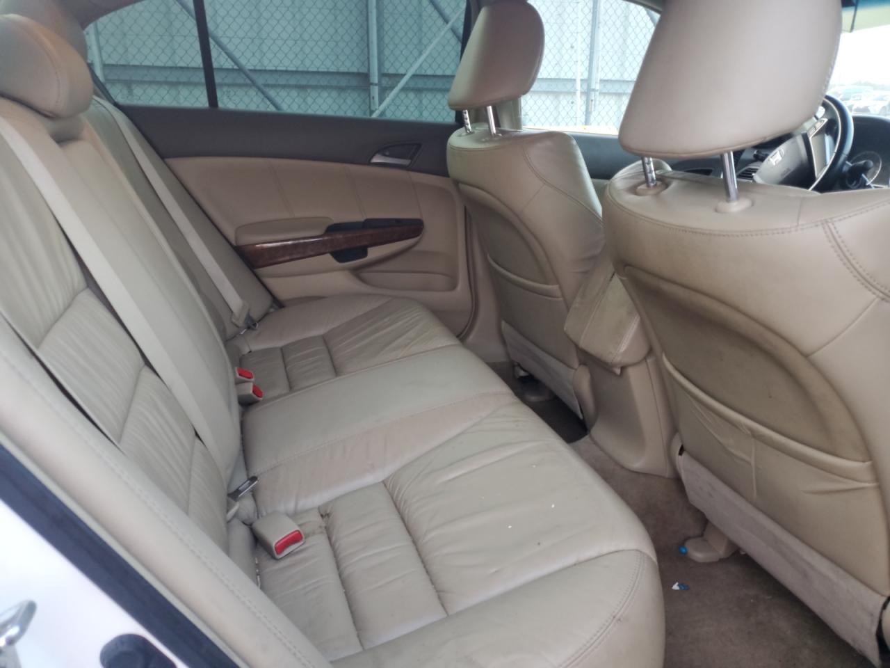 2009 Honda Accord Exl VIN: 1HGCP26829A044396 Lot: 65367565