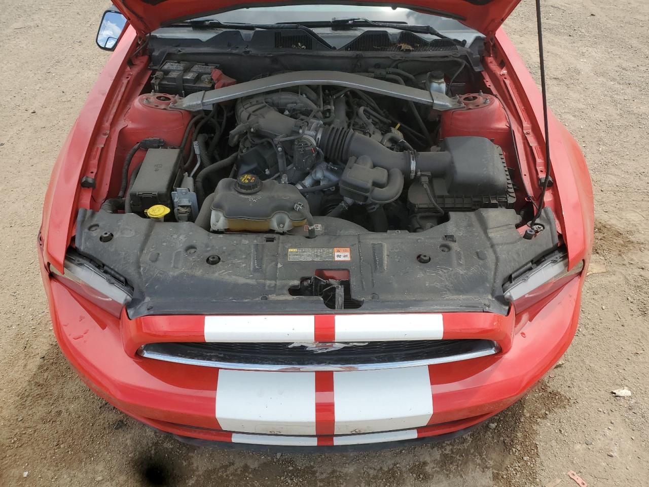 2014 Ford Mustang VIN: 1ZVBP8EM4E5208162 Lot: 64502065