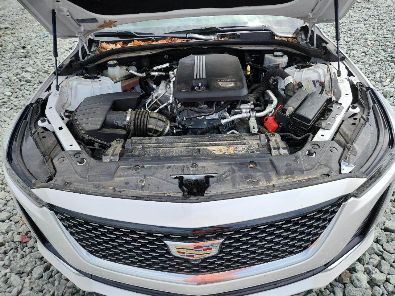 2020 Cadillac Ct5 Luxury VIN: 1G6DM5RK4L0117563 Lot: 64426995