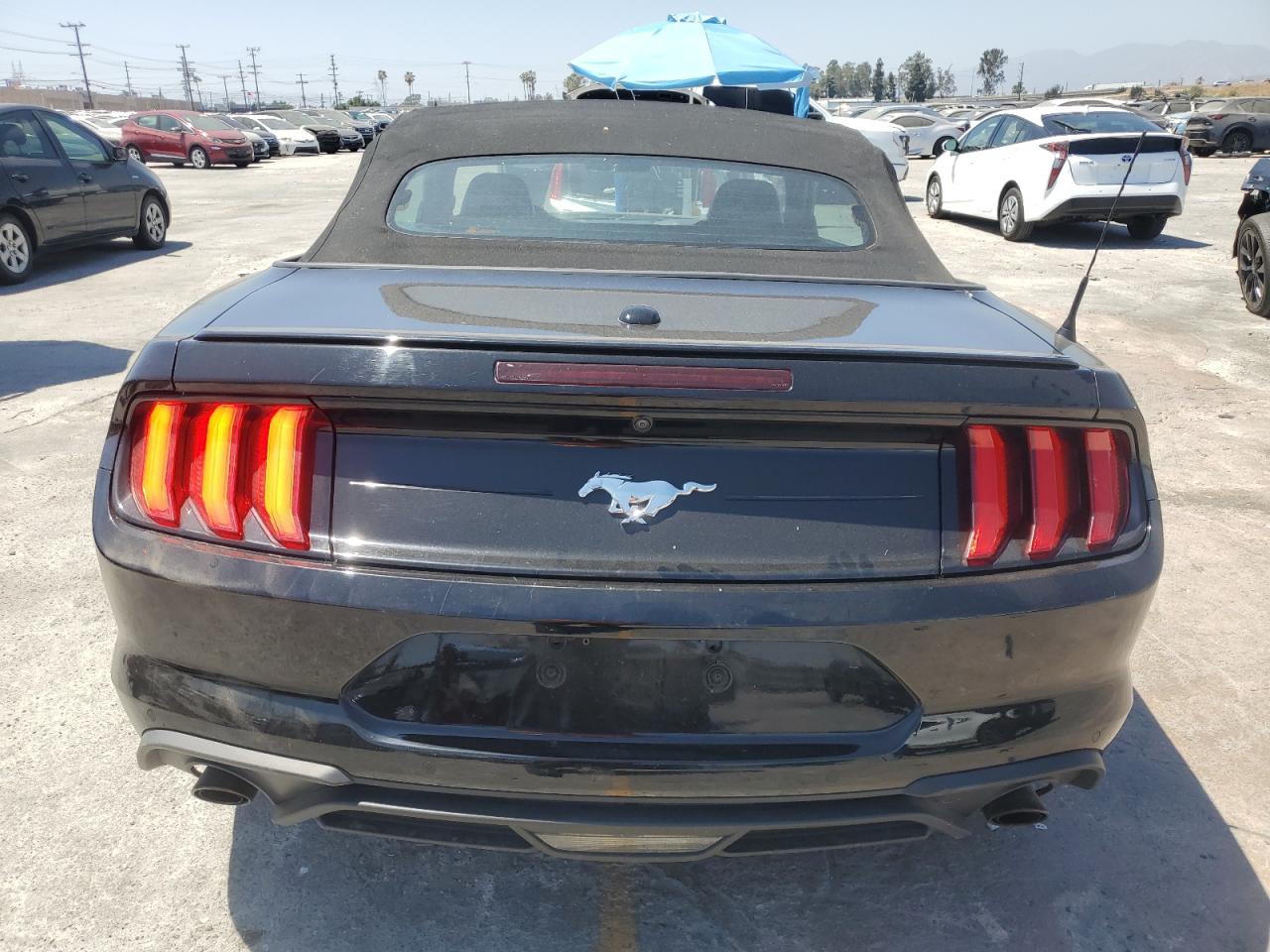 2022 Ford Mustang VIN: 1FATP8UH9N5106437 Lot: 64449185