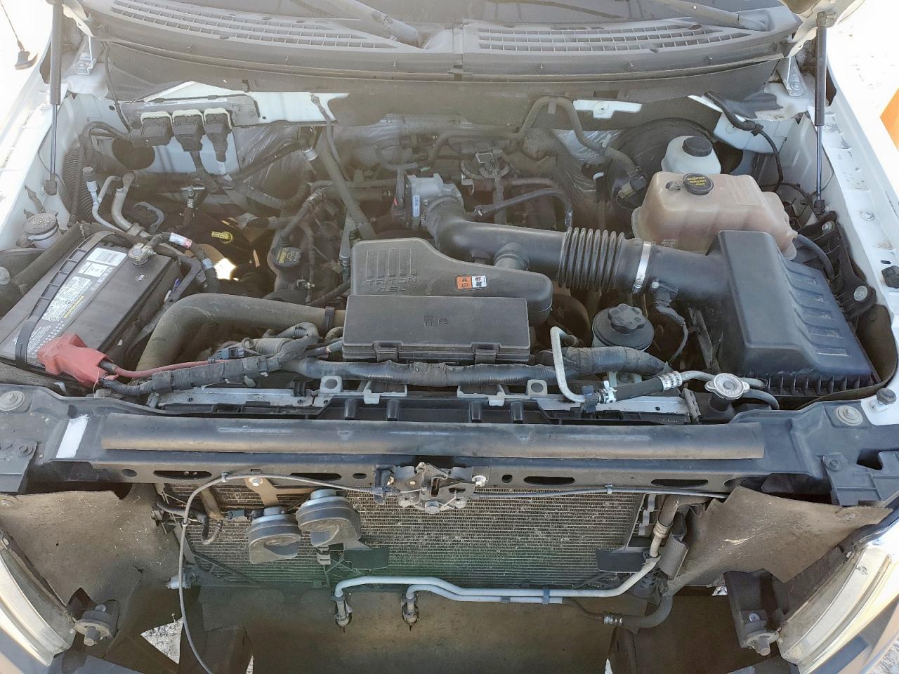 2010 Ford F150 VIN: 1FTMF1CW6AKA97071 Lot: 65049835