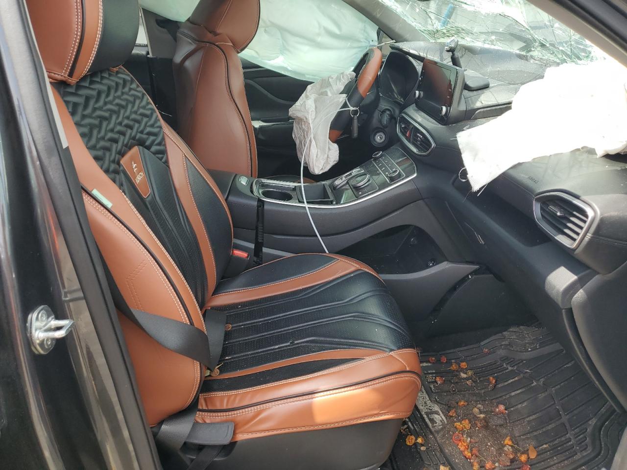 2021 Hyundai Santa Fe Se VIN: 5NMS14AJ8MH313517 Lot: 65458005