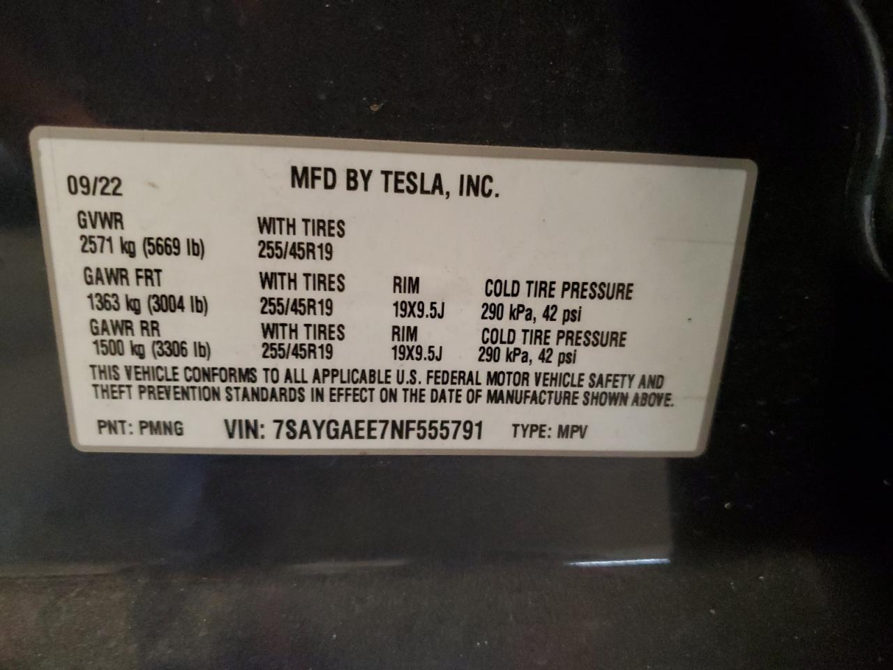 2022 Tesla Model Y VIN: 7SAYGAEE7NF555791 Lot: 62319155