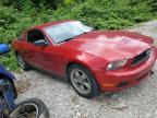 2011 FORD MUSTANG    à vendre chez Copart AB - CALGARY