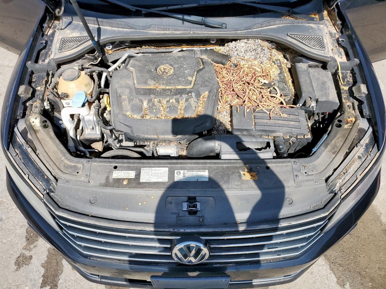 2019 Volkswagen Passat Wolfsburg VIN: 1VWLA7A3XKC009900 Lot: 66308695