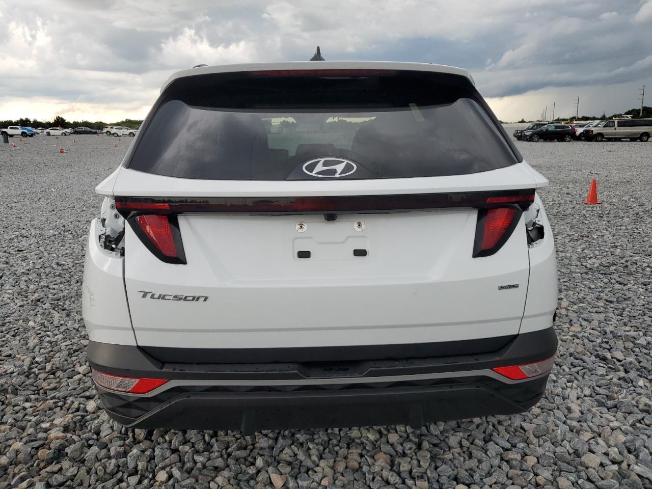 2024 Hyundai Tucson Sel VIN: KM8JBCDE4RU303385 Lot: 64469835