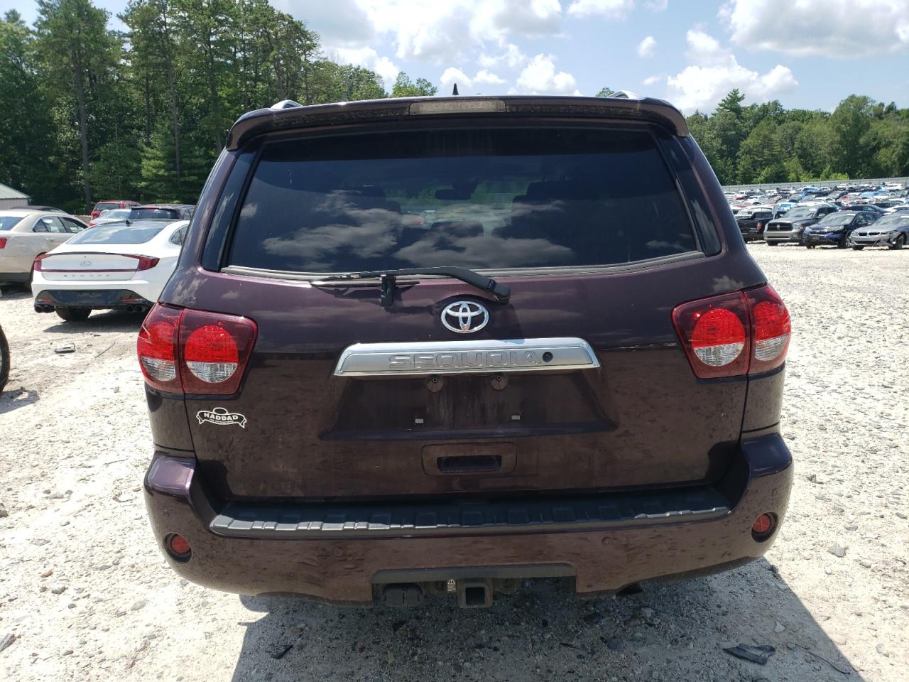 2019 Toyota Sequoia Platinum VIN: 5TDDY5G19KS171450 Lot: 63777885