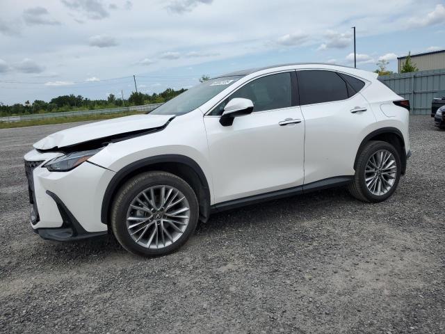 2024 LEXUS NX 350H BASE   for sale at Copart ON - OTTAWA
